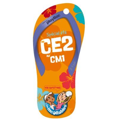 Play Bac Du Ce2 Au Cm1, 8-9 Ans : Spécial Été : 420 Questions - Publicité Play Bac Du Ce2 Au Cm1, 8-9 Ans : Spécial Été : 420 Questions - Publicité