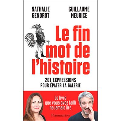 Nathalie Gendrot Le Fin Mot De L'Histoire : 201 Expressions Pour Épater La Galerie - Publicité Nathalie Gendrot Le Fin Mot De L'Histoire : 201 Expressions Pour Épater La Galerie - Publicité