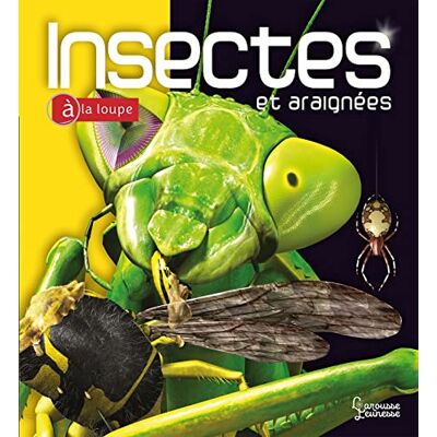 Noel Tait Insectes Et Araignées - Publicité Noel Tait Insectes Et Araignées - Publicité