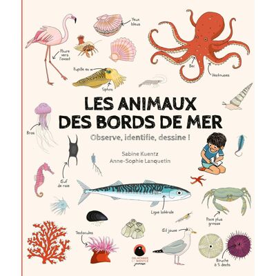 Sabine Kuentz Les Animaux Des Bords De Mer : Observe, Identifie, Dessine ! - Publicité Sabine Kuentz Les Animaux Des Bords De Mer : Observe, Identifie, Dessine ! - Publicité