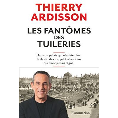 Les Fantômes Des Tuileries : Dans Un Palais Qui N'Existe Plus, Le Destin De Cinq Petits Dauphins Qui N'Ont Jamais Régné - Publicité Les Fantômes Des Tuileries : Dans Un Palais Qui N'Existe Plus, Le Destin De Cinq Petits Dauphins Qui N'Ont Jamais Régné - Publicité