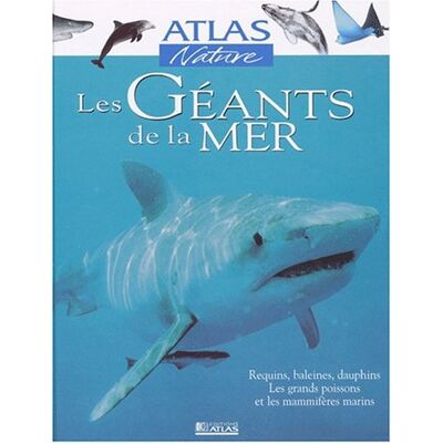 Collectif Les Géants De La Mer - Publicité Collectif Les Géants De La Mer - Publicité