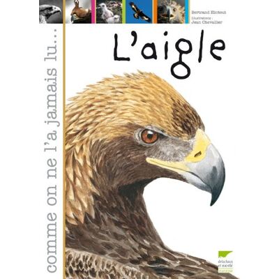 Bertrand Eliotout L'Aigle - Publicité Bertrand Eliotout L'Aigle - Publicité