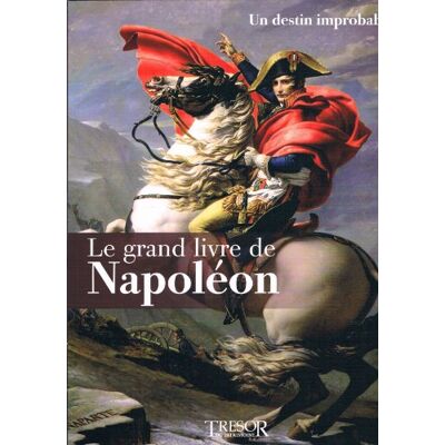 Collectif Le Grand Livre De Napoléon 1: Un Destin Improbable - Publicité Collectif Le Grand Livre De Napoléon 1: Un Destin Improbable - Publicité