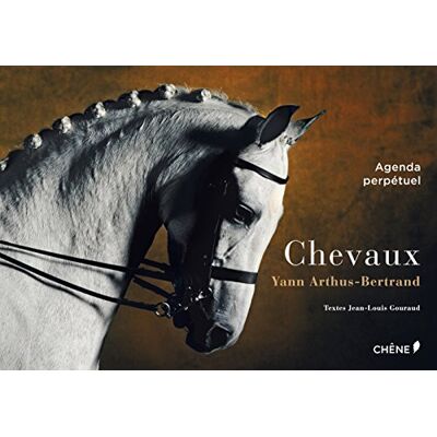 Jean-Louis Gouraud Chevaux : Agenda Perpétuel - Publicité Jean-Louis Gouraud Chevaux : Agenda Perpétuel - Publicité