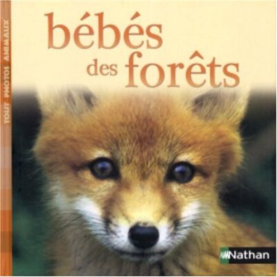 Nathan Bébés Des Forêts - Publicité Nathan Bébés Des Forêts - Publicité