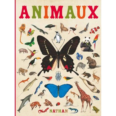Nathan Animaux - Publicité Nathan Animaux - Publicité