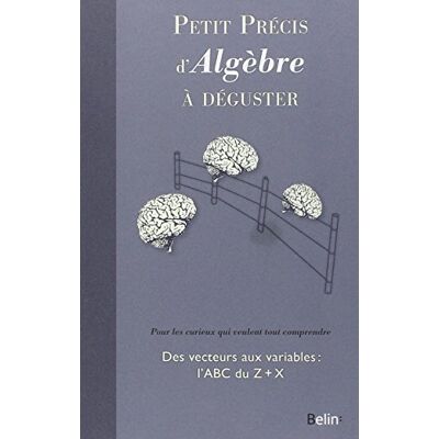 Mickael Willers Petit Précis D'Algèbre À Déguster - Publicité Mickael Willers Petit Précis D'Algèbre À Déguster - Publicité
