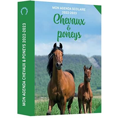 Editions 365 Chevaux & Poneys : Mon Agenda Scolaire 2022-2023 - Publicité Editions 365 Chevaux & Poneys : Mon Agenda Scolaire 2022-2023 - Publicité