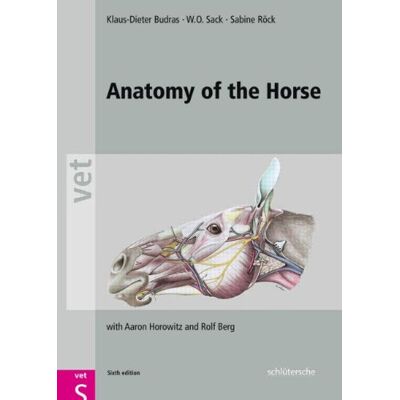 Klaus-Dieter Budras Anatomy Of The Horse: With Aaron Horowitz And Rolf Berg - Publicité Klaus-Dieter Budras Anatomy Of The Horse: With Aaron Horowitz And Rolf Berg - Publicité