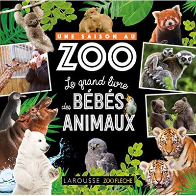 Aurore Meyer Une Saison Au Zoo : Le Grand Livre Des Bébés Animaux - Publicité Aurore Meyer Une Saison Au Zoo : Le Grand Livre Des Bébés Animaux - Publicité