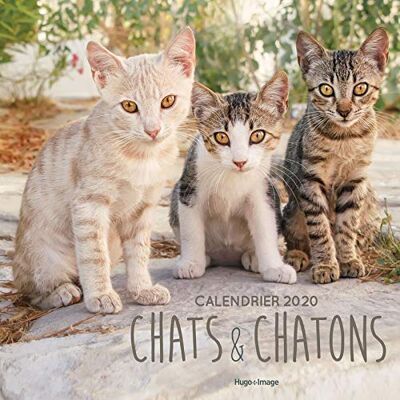 Chats Et Chatons : Calendrier 2020 - Publicité Chats Et Chatons : Calendrier 2020 - Publicité