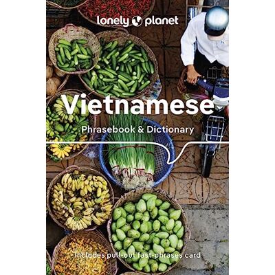 Lonely Planet Vietnamese Phrasebook & Dictionary - Publicité Lonely Planet Vietnamese Phrasebook & Dictionary - Publicité
