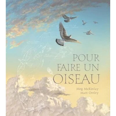 Meg McKinlay Pour Faire Un Oiseau - Publicité Meg McKinlay Pour Faire Un Oiseau - Publicité