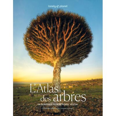 Matthew Collins L'Atlas Des Arbres : Un Incroyable Tour Du Monde Végétal - Publicité Matthew Collins L'Atlas Des Arbres : Un Incroyable Tour Du Monde Végétal - Publicité