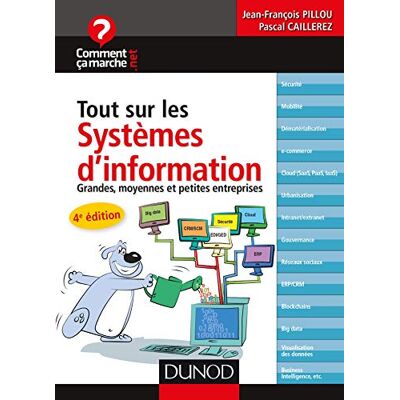 Tout Sur Les Systèmes D'Information : Grandes, Moyennes Et Petites Entreprises - Publicité Tout Sur Les Systèmes D'Information : Grandes, Moyennes Et Petites Entreprises - Publicité
