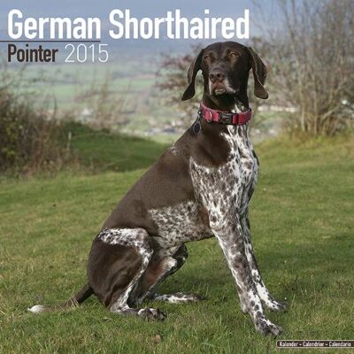 Carousel Calendars German Shorthaired Pointer 2015 (Square) - Publicité Carousel Calendars German Shorthaired Pointer 2015 (Square) - Publicité
