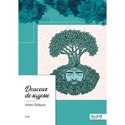 Adrien Baillayre Douceur De Sagesse - Publicité Adrien Baillayre Douceur De Sagesse - Publicité