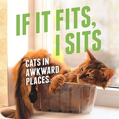 Various If It Fits, I Sits: Cats In Awkward Places - Publicité Various If It Fits, I Sits: Cats In Awkward Places - Publicité