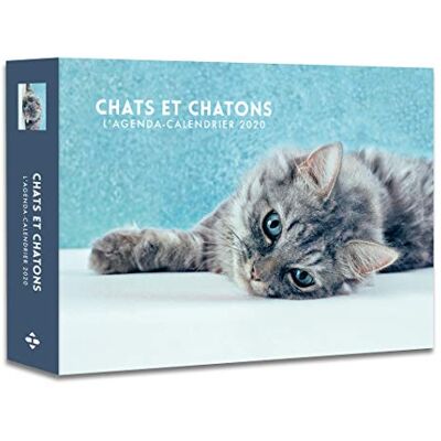 Chats Et Chatons : L'Agenda-Calendrier 2020 - Publicité Chats Et Chatons : L'Agenda-Calendrier 2020 - Publicité