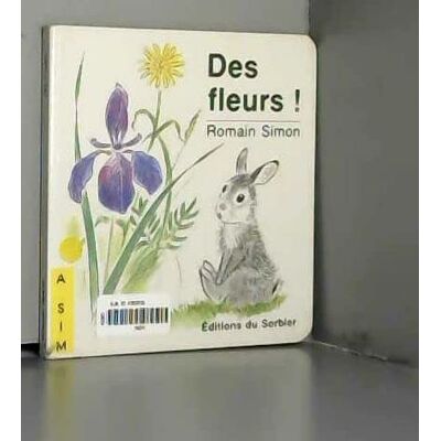 Simon Des Fleurs ! - Publicité Simon Des Fleurs ! - Publicité