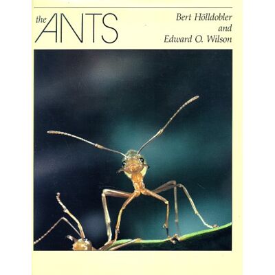 Bert Hölldobler The Ants - Publicité Bert Hölldobler The Ants - Publicité