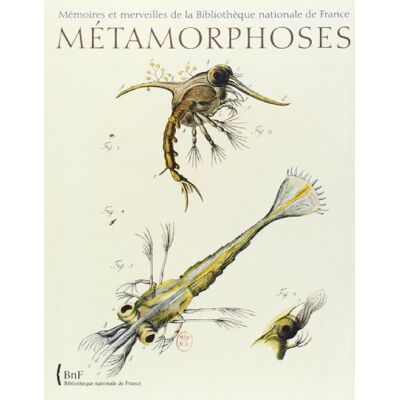 Béatrice Mairé Métamorphoses : Le Monde Fascinant Des Insectes - Publicité Béatrice Mairé Métamorphoses : Le Monde Fascinant Des Insectes - Publicité