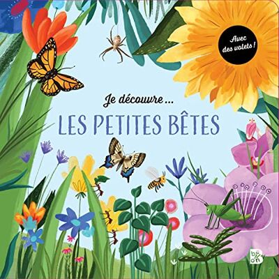 Ballon Je Découvre... Les Petites Bêtes - Publicité Ballon Je Découvre... Les Petites Bêtes - Publicité