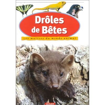Francine Boillot Drôles De Bêtes - Publicité Francine Boillot Drôles De Bêtes - Publicité