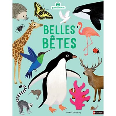 Belles Bêtes - Publicité Belles Bêtes - Publicité