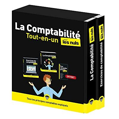 Laurence Thibault La Comptabilité Tout-En-Un Pour Les Nuls - Publicité Laurence Thibault La Comptabilité Tout-En-Un Pour Les Nuls - Publicité