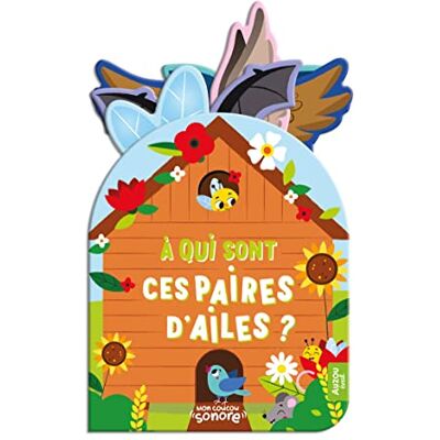 A Qui Sont Ces Paires D'Ailes ? - Publicité A Qui Sont Ces Paires D'Ailes ? - Publicité