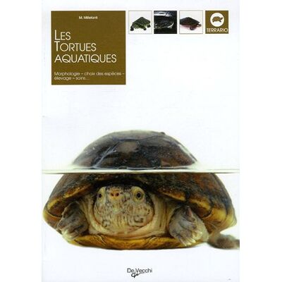 Massimo Millefanti Les Tortues Aquatiques - Publicité Massimo Millefanti Les Tortues Aquatiques - Publicité