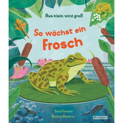 Bianca Austria Aus Klein Wird Groß. So Wächst Ein Frosch - Publicité Bianca Austria Aus Klein Wird Groß. So Wächst Ein Frosch - Publicité