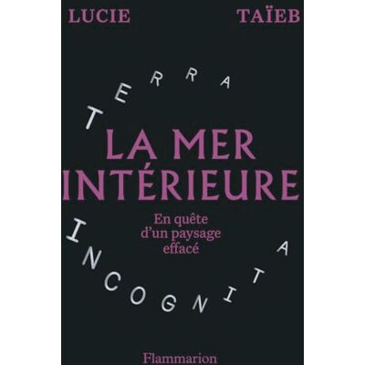 Lucie Taïeb La Mer Intérieure : En Quête D'Un Paysage Effacé - Publicité Lucie Taïeb La Mer Intérieure : En Quête D'Un Paysage Effacé - Publicité