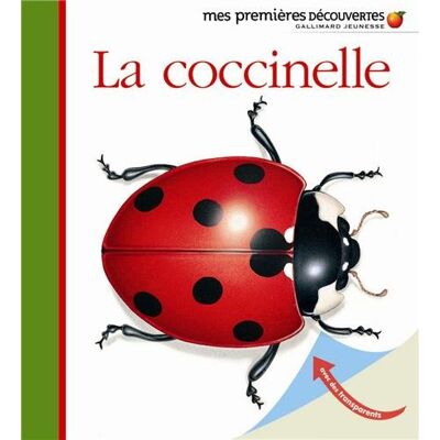 Collectif La Coccinelle - Publicité Collectif La Coccinelle - Publicité