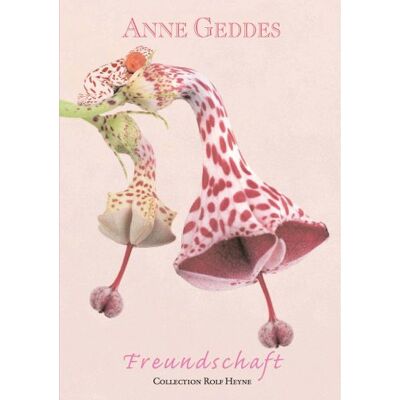 Anne Geddes Freundschaft - Publicité Anne Geddes Freundschaft - Publicité