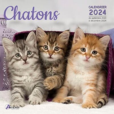 Artémis Chatons : Calendrier 2024 : De Septembre 2023 À Décembre 2024 - Publicité Artémis Chatons : Calendrier 2024 : De Septembre 2023 À Décembre 2024 - Publicité