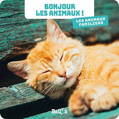 Les Animaux Familiers - Publicité Les Animaux Familiers - Publicité