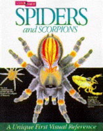 Chatfield, June E. Spiders And Scorpions (Look Inside)