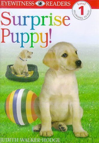 Judith Walker-Hodge E/w Readers: Surprise Puppy - Level 1 1st Edition - Paper