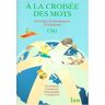 Exercices A La Croisee Des Mots Cm1 (Hachette Education)