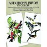 Rawlings, Eleanor Hasbrouck Audubon'S Birds In Color: 24 Plates Printed One Side Only For Crafts, Decoupage And Framing