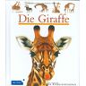 Jean-Philippe Chabot Die Giraffe