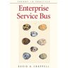 Chappell, David A. Enterprise Service Bus: Theory In Practice [With Quick-Ref Card]