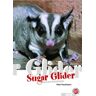 Peter Puschmann Der Sugar Glider: Art Für Art