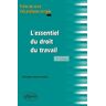 Lemaitre L'Essentiel Du Droit Du Travail Fiches De Cours & Cas Pratiques Corrigés