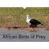 Doug. McCutcheon African Birds Of Prey 2016: A Selection Of African Birds Of Prey (Calvendo Nature)