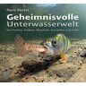 Mario Merkel Geheimnisvolle Unterwasserwelt: Von Fischen, Krebsen, Muscheln, Schnecken Und Mehr