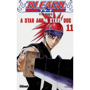 Tite Kubo Bleach, Tome 11 : A Star And A